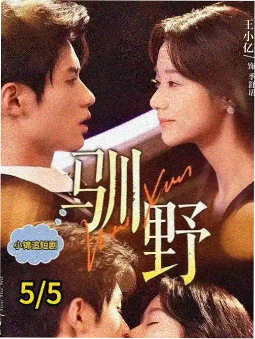 成片模板素材包封面，展示多场景版式缩略图